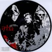 A-Ha+-+Analogue+[All+I+Want]+-+7'+PICTURE+DISC-346861